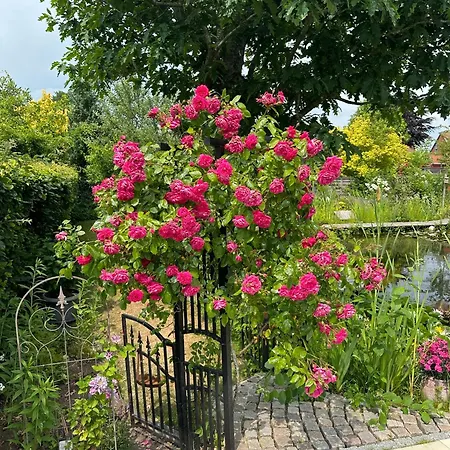 Haus Bettina, Im Garten Zuhause Casa vacanze *